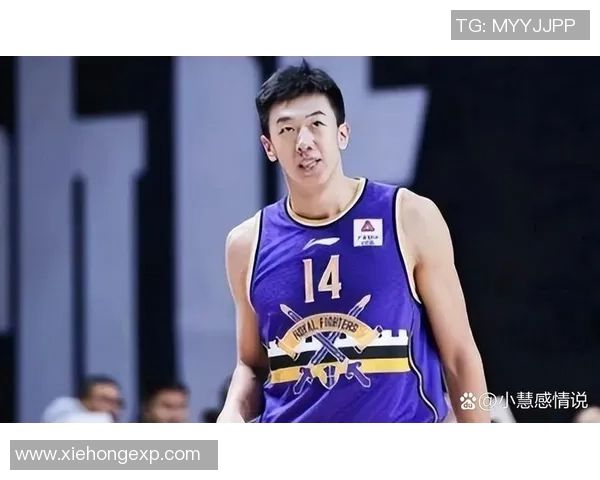 王少杰：从篮球新星到职业生涯巅峰的奋斗历程与未来展望