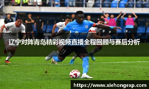 辽宁对阵青岛精彩视频直播全程回顾与赛后分析